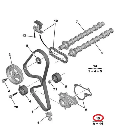 Hammasrihma komplekt koos veepumbaga OEM Peugeot/Citroen 1,6HDI DV6TED4 - PSA  1684448080 - OE - 100% Genuine Part