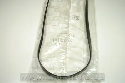 Mitmikkiilrihm 6PK1454 OEM Citroen/Peugeot - PSA  5750YC - OE - 100% Genuine Part