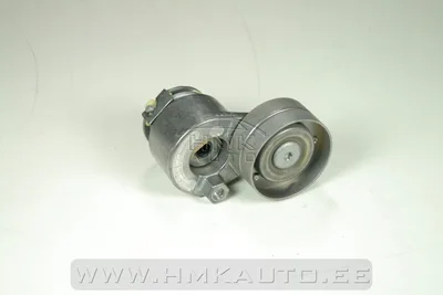 Mitmikkiilrihma pinguti Renault - SNR  GA355.00 - SNR France