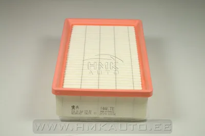 Õhufilter OEM Citroen/Peugeot 2,0HDI - PSA  1444TE - OE - 100% Genuine Part