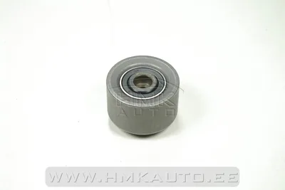 Hammasrihma juhtrull Peugeot/Citroen 1.6 TU5JP4 00- - SNR  GE359.16 - SNR France