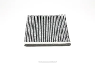 Salongiõhu filter Renault Laguna II/ Vel Satis söega - ECA  1635W