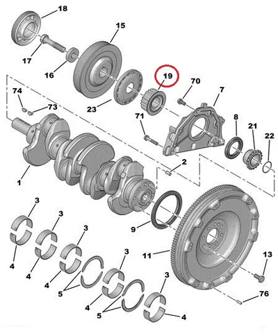 Väntvõlli rihmaratas (hammasrihmale) OEM Peugeot/Citroen 1.9D/2.0HDI - PSA  0513A9 - OE - 100% Genuine Part