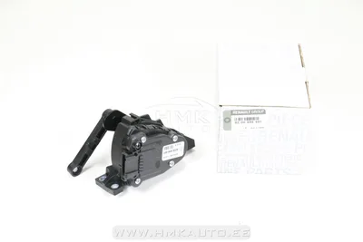 Gaasipedaali reostaat OEM Renault Clio II/Kangoo (-CC) - REN  8200699691 - OE - 100% Genuine Part