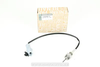 Väljalaskegaaside temperatuuri andur tagumine OEM Renault Trafic II - REN  8200532548 - OE - 100% Genuine Part