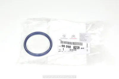 Õhukulumõõtja tihend OEM Jumper/Boxer/Ducato 2,2HDI 2006- - PSA  9809876580 - OE - 100% Genuine Part