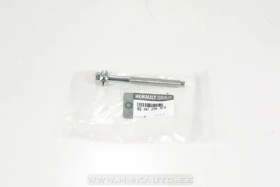 Pihusti kinnituspolt OEM Renault 1,6DCI/2,0DCI - REN  8200376373 - OE - 100% Genuine Part