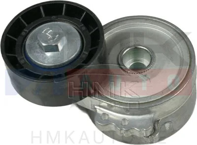 Mitmikkiilrihma pinguti Citroen/Peugeot/Fiat 1.9D/2.0HDI/2.2HDI - 6145902200
