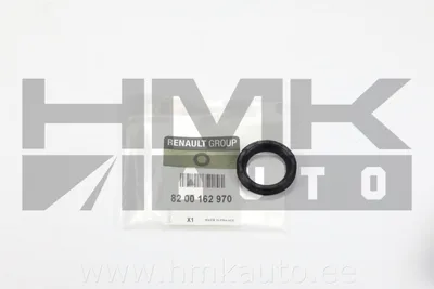 Nukkvõlli reguleersolenoidi tihend OEM Renault 1,6 16V - REN  8200162970 - OE - 100% Genuine Part