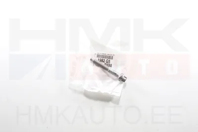Pihusti kinnituspolt OEM Citroen/Peugeot 1,6HDI - PSA  1982G5 - OE - 100% Genuine Part
