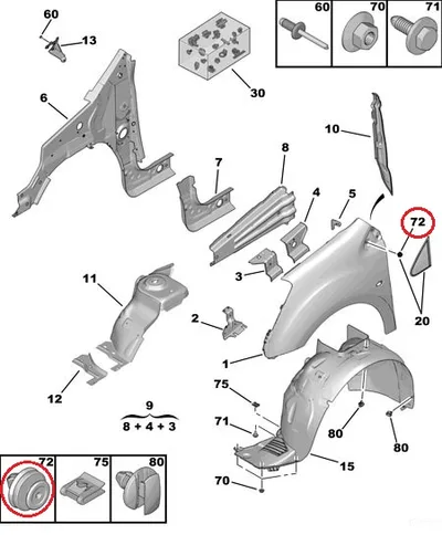 Liistu/polstri tüübel OEM Citroen/Peugeot/Renault (1tk.) - PSA  1622750380 - OE - 100% Genuine Part