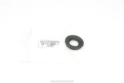 Pihusti tihend OEM Jumper/Boxer/Ducato 2,2HDI 2012-  Euro5 - PSA  9677759480 - OE - 100% Genuine Part
