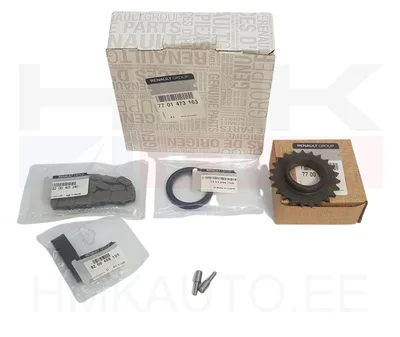 Õlipumba keti komplekt OEM Renault F9Q - REN  7701473163 - OE - 100% Genuine Part
