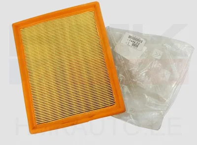 Õhufilter OEM Citroen Xsara/Peugeot 206 - PSA  1444TF - OE - 100% Genuine Part