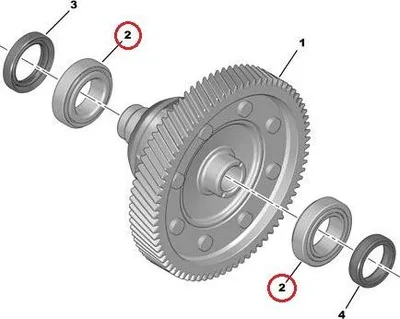 Käigukasti laager (diferentsiaal) OEM Citroen/Peugeot BVM6 - PSA  312542 - OE - 100% Genuine Part