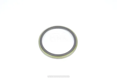 ABS-i magnetvöö tagumine Renault Laguna II/Espave IV/Scenic II/Vel Satis - REN  8200655249/X