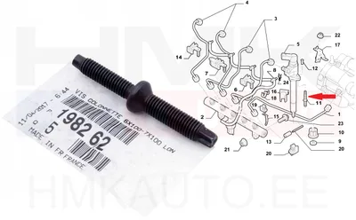 Pihusti kinnituspolt OEM Citroen/Peugeot 2,0/2,2HDI - PSA  198262 - OE - 100% Genuine Part