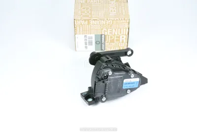 Gaasipedaali reostaat OEM Renault Clio II/Kangoo (+CC) - REN  8200699681 - OE - 100% Genuine Part