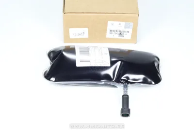 FAP filtri lisaaine täitepakend OEM Citroen C3 II/ DS3 - PSA  9678033980 - OE - 100% Genuine Part
