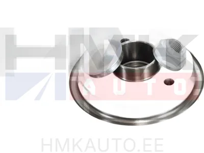 Piduriketas tagumine laagriga OEM Renault Kangoo 2008- - MOT  8660003913 - OE - Motrio/Value