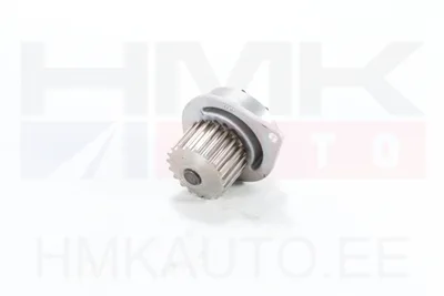 Veepump Citroen/Peugeot 1,6i 16V TU5JP4 - AI  1600