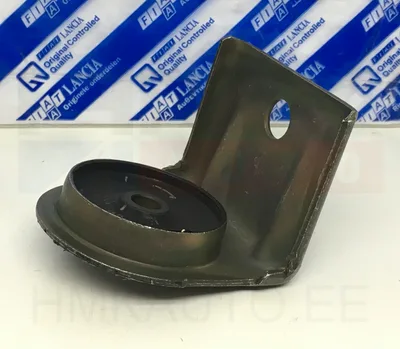 Jahutusradiaatori fikseerimispuks OEM Citroen/Peugeot/Fiat - PSA  132127 - OE - 100% Genuine Part