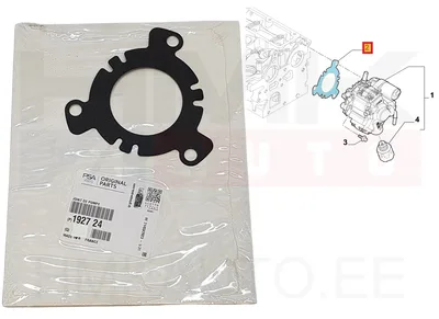 Kõrgsurvepumba tihend OEM Citroen/Peugeot/Fiat 2,0HDi DW10 Euro4 - PSA  192724 - OE - 100% Genuine Part