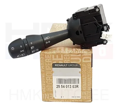 Tulede lüliti OEM Renault/Dacia - REN  255401303R - OE - 100% Genuine Part