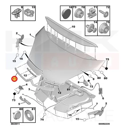 Kapoti iluliist, kroomitud OEM C4 Picasso -2010 - PSA  796629 - OE - 100% Genuine Part