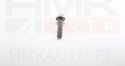 Väntvõlli rihmaratta kinnituspolt OEM Renault 1,6/2,0/2,3DCI (M16X150-64) - REN  123091465R - OE - 100% Genuine Part