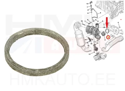 Turbo tihend Citroen/Peugeot/Mini 1,6 EP6  54,5x63x5,5 - 737.720 - Elring