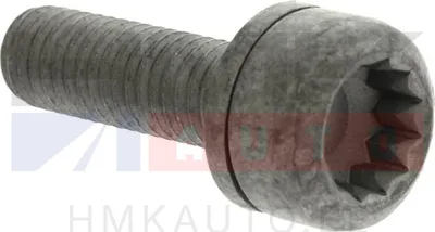 Kütusepumba rihmaratta kinnituspolt OEM VAG 2,0TDi  M8x28 - N91176101 - OE - 100% Genuine Part