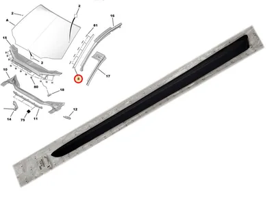 Esiklaasi küljeliist parem OEM Citroen C5 08- - PSA  8120AA - OE - 100% Genuine Part
