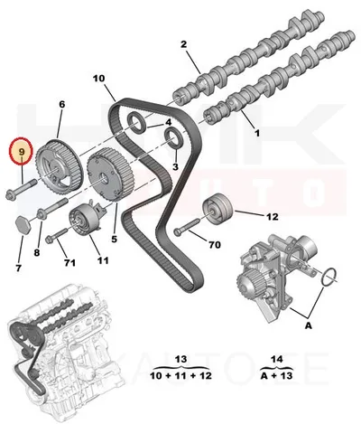 Nukkvõlli rihmaratta kinnituspolt OEM Citroen/Peugeot - PSA  080644 - OE - 100% Genuine Part