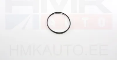 Kõrgsurvepumba tihend OEM Renault Master 2,3DCi 2010- - REN  167811426R - OE - 100% Genuine Part