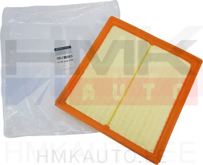 Õhufilter OEM Trafic/Vivaro 2,0dCi/2,5dCi - REN  165464407R - OE - 100% Genuine Part