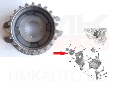 Kütusepumba rihmaratas OEM Citroen/Peugeot DV6 - PSA  193047 - OE - 100% Genuine Part