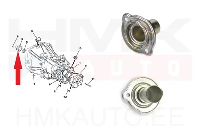 Siduri survelaagri juhik OEM Citroen/Peugeot/Fiat - PSA  210560 - OE - 100% Genuine Part