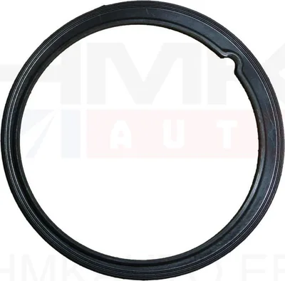Kütusepumba kinnitusvõru tihend OEM Nemo/Bipper/Fiorino - PSA  153148 - OE - 100% Genuine Part