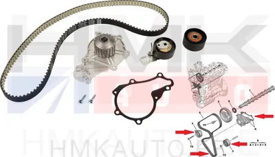 Hammasrihma komplekt koos veepumbaga OEM Citroen C3 , C4 Peugeot 208 1.6HDI - PSA  1684448180 - OE - 100% Genuine Part