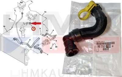 Jahutusvedeliku lõdvik õlijahutile OEM Citroen/Peugeot 2,0/2,2BlueHDi 2016- - PSA  9675070980 - OE - 100% Genuine Part
