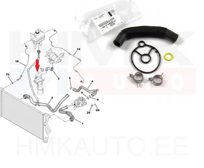 Jahutusvedeliku lõdvik koos tihendiga õlifiltri korpusele OEM Citroen/Peugeot 2,0BlueHDi 2016- - PSA  9807439480 - OE - 100% Genuine Part