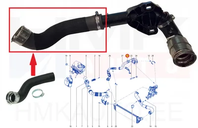 Turbo õhutoru (cooleri poolne osa) Renault Master 2,3DCI 2019- - JAD  249237DJ - Prottego