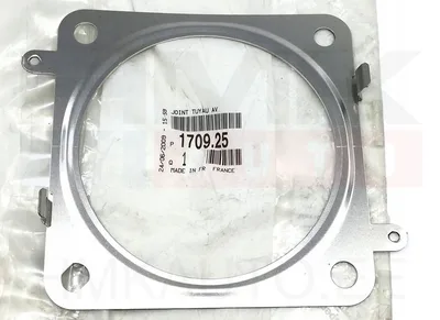 Katalüsaatori tihend OEM Citroen/Peugeot 1,0/1,4/1,6 - PSA  170925 - OE - 100% Genuine Part