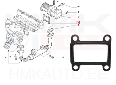 EGR klapi tihend OEM Fiat 1,9JTD - FIAT  55191883 - OE - 100% Genuine Part