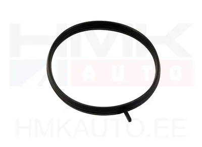 Drosselklapi tihend OEM Renault/Nissan 2,0 16V  M4R - REN  161752788R - OE - 100% Genuine Part