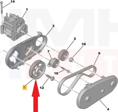 Kütusepumba rihmaratas OEM Citroen/Peugeot 2,7HDi Ø126 - PSA  193044 - OE - 100% Genuine Part