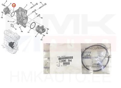 Veepumba tihend OEM Citroen/Peugeot/Fiat 1,1/1,4 - PSA  120694 - OE - 100% Genuine Part