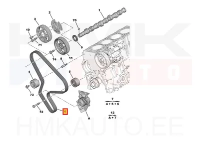 Hammasrihm OEM Citroen/Peugeot 2,0HDi 8V  DW10 - PSA  0816A9 - OE - 100% Genuine Part