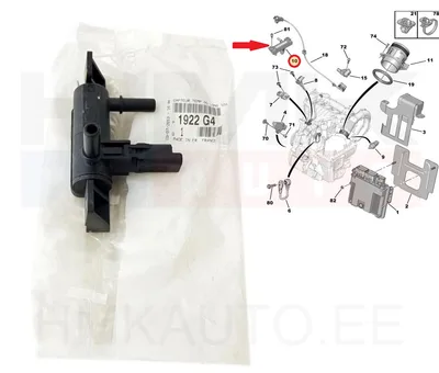 Kütuse temperatuuri andur OEM Citroen/Peugeot/Fiat (koos korpusega) - PSA  1922G4 - OE - 100% Genuine Part